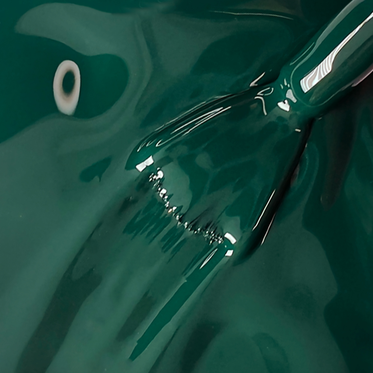 Botanical Garden - Image 2