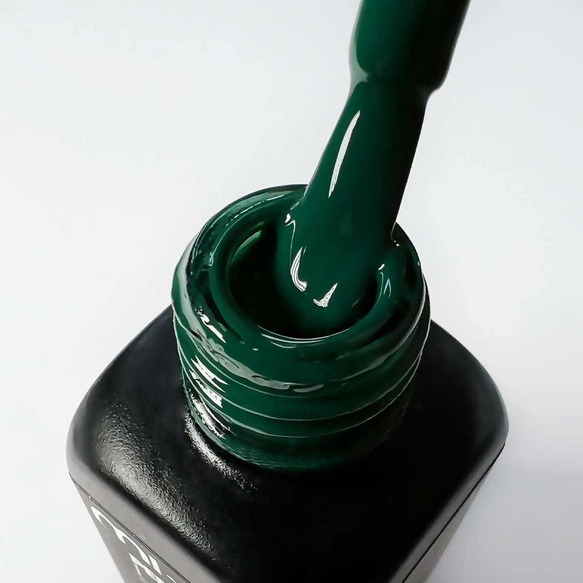 Botanical Garden - Image 3