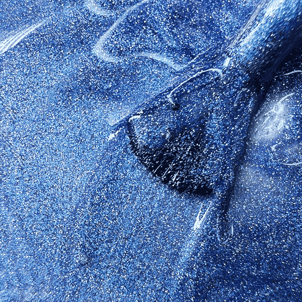 Butterfly Pea - Image 3