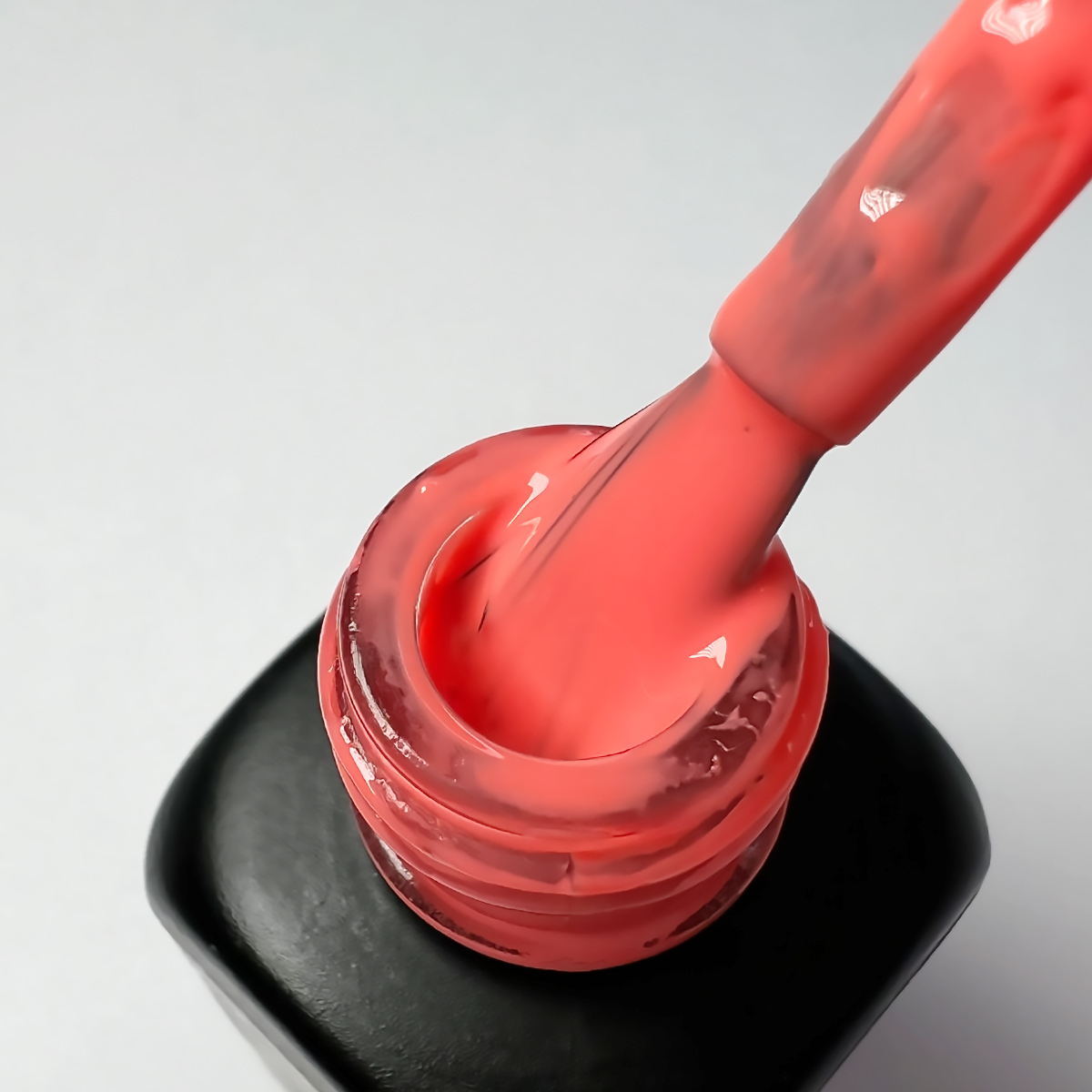 Living Coral - Image 2