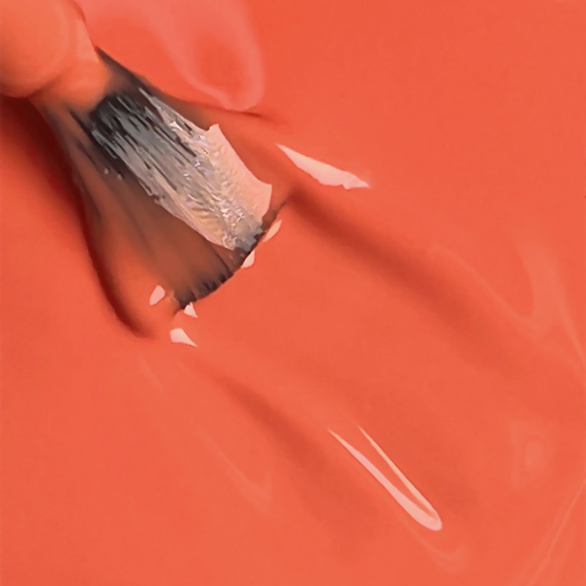 Living Coral - Image 3